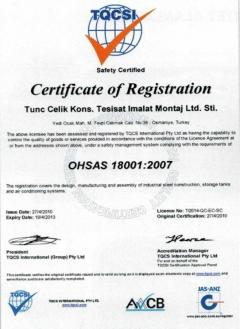 iso 18001-2007